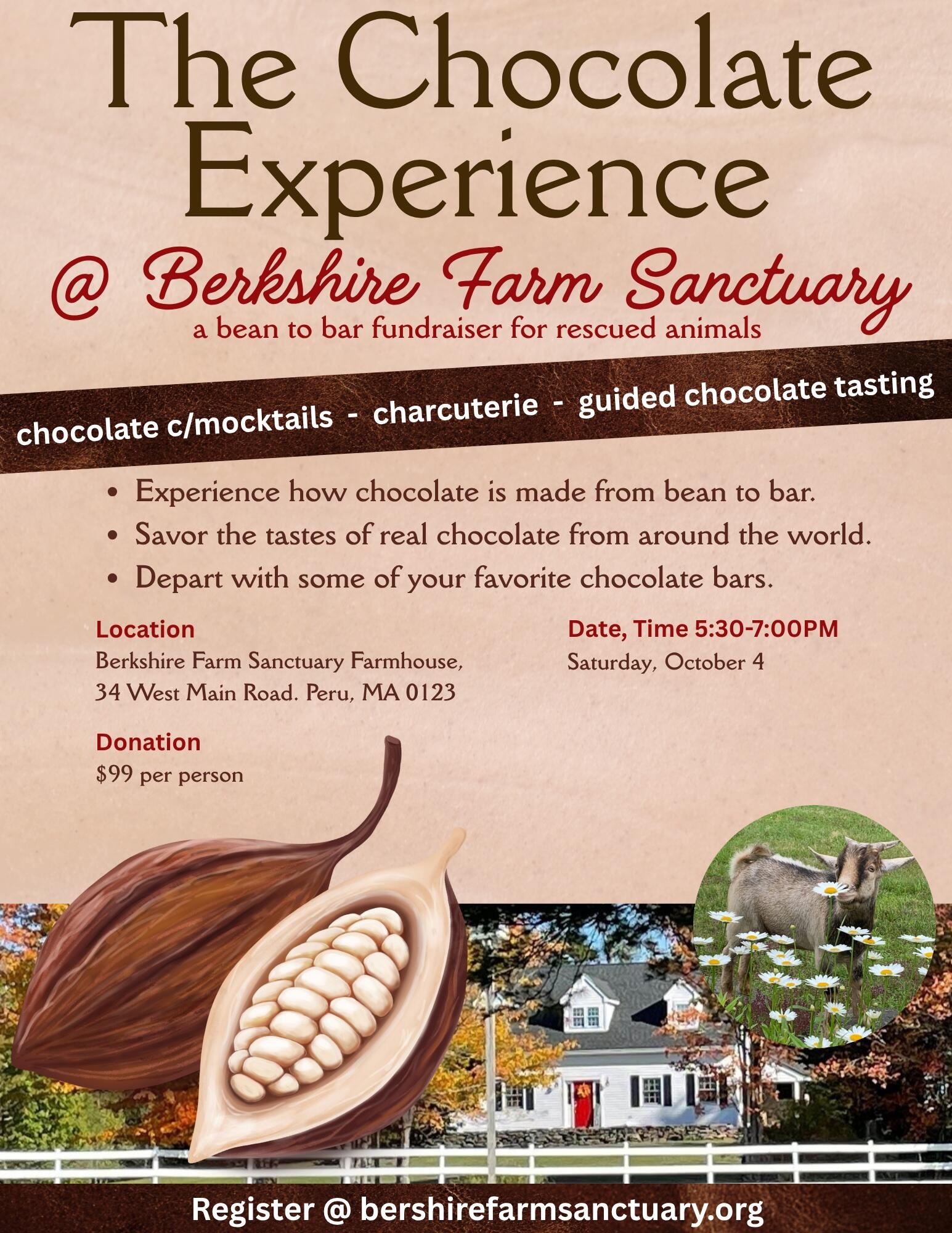 Campaign cover image for A Taste of Kindness