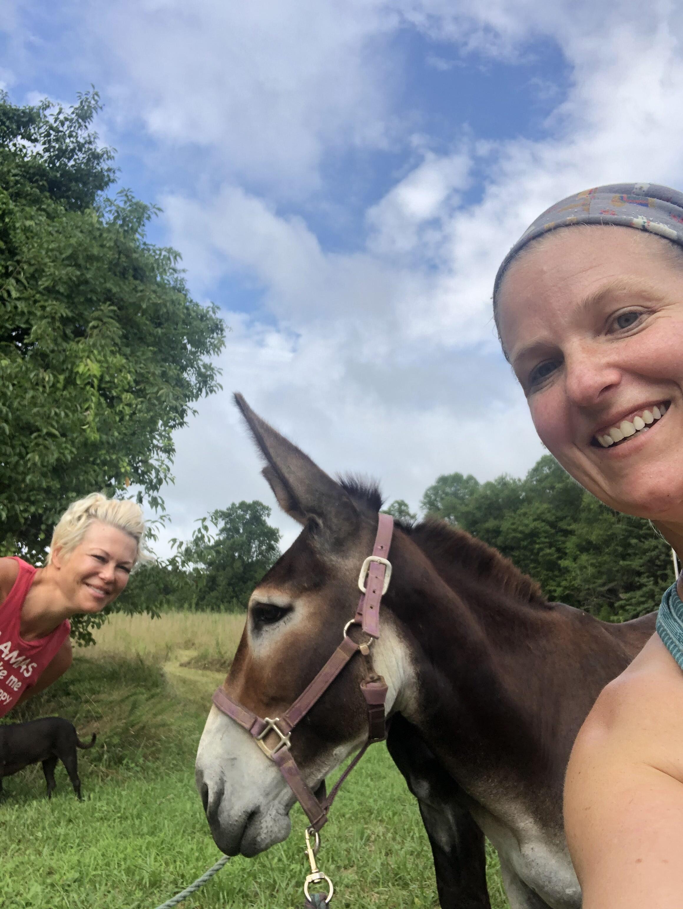 Campaign cover image for Sammi’s Trail of Tails