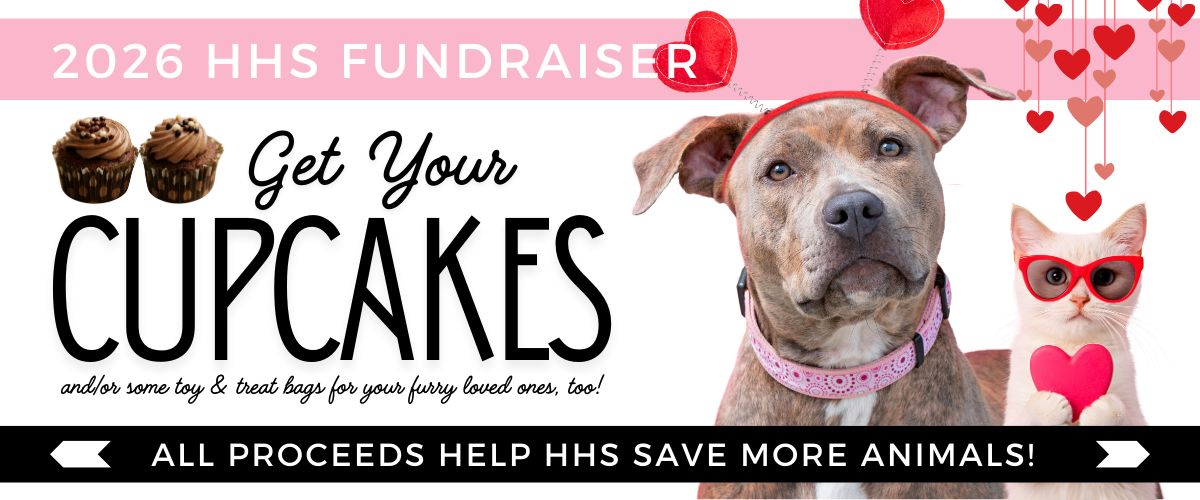 Campaign cover image for 2026 HHS Cupcake Fundraiser