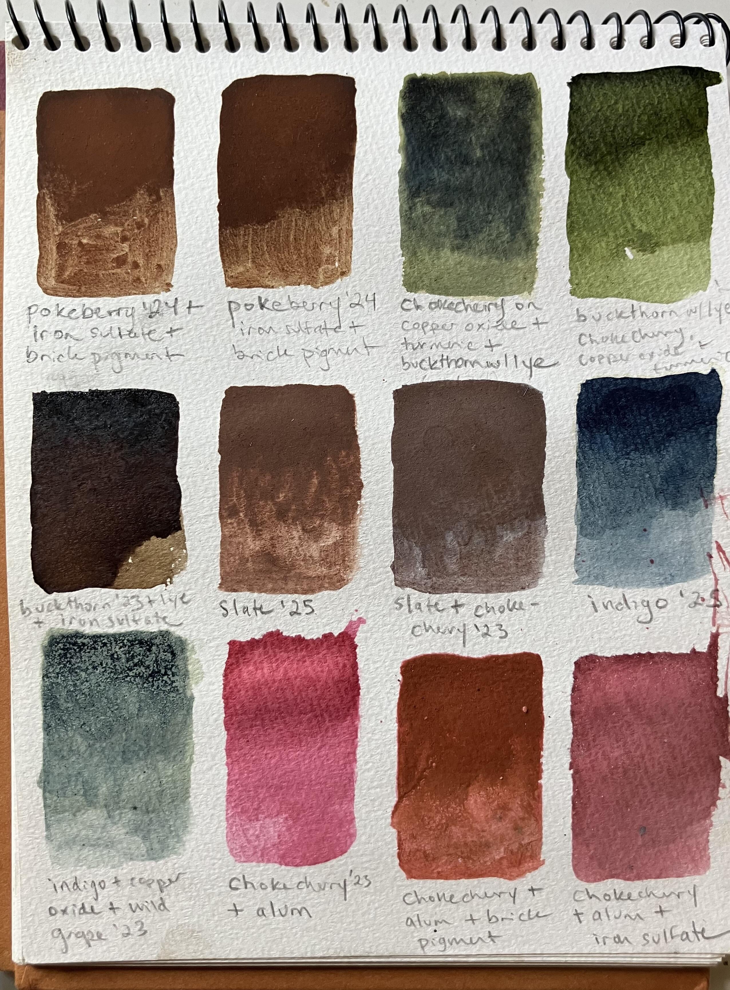 Campaign cover image for Camp Feathers in a Notebook