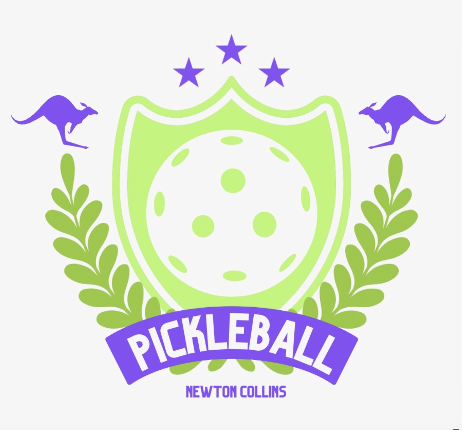 Campaign cover image for Newton Collins PTA Pickleball Tournament