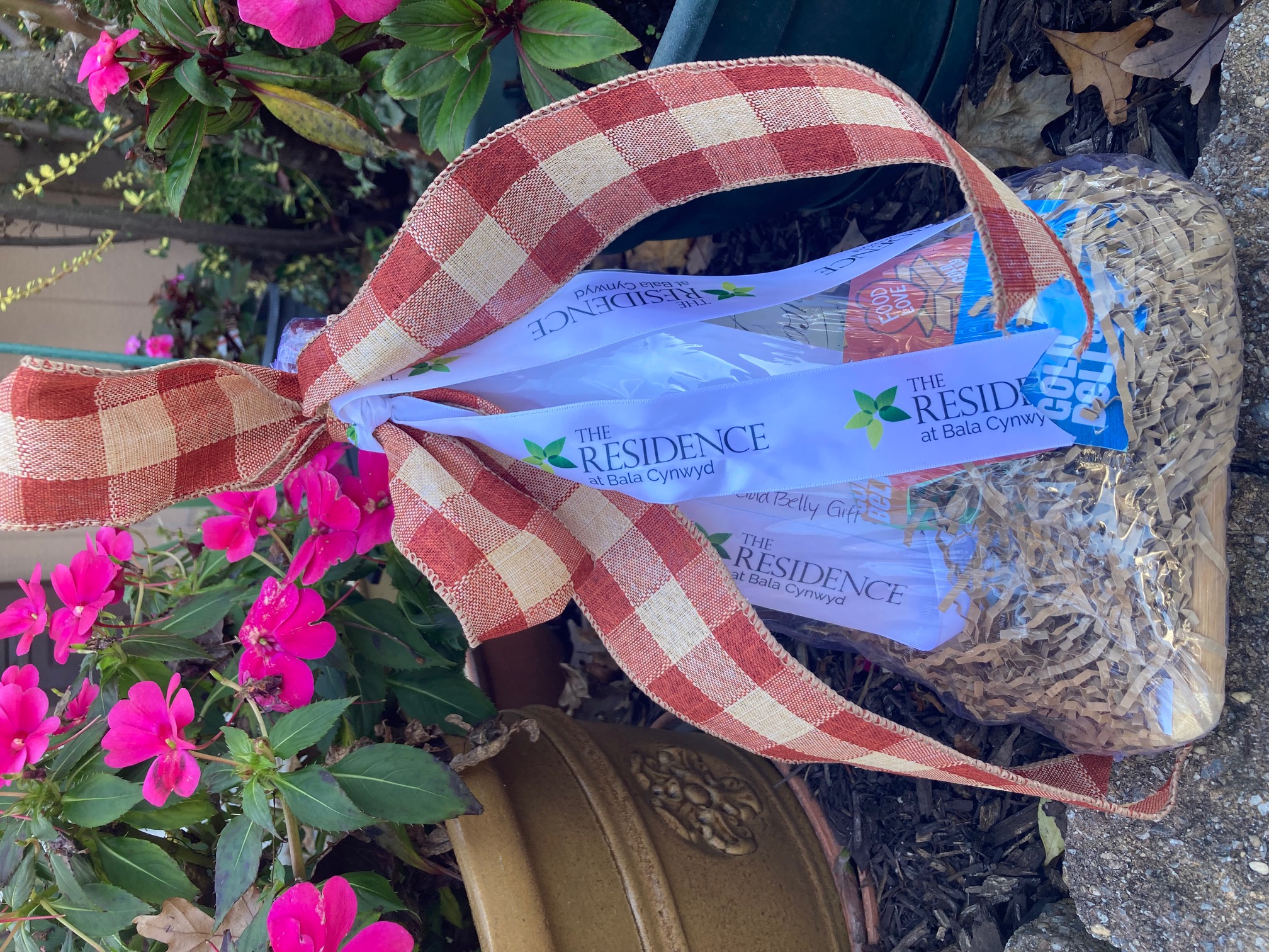 Celebrating 10 Years Of Joy!