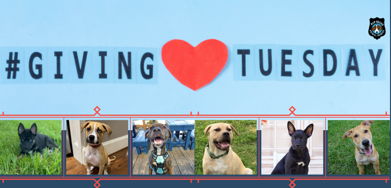 Campaign cover image for Giving Tuesday 2025