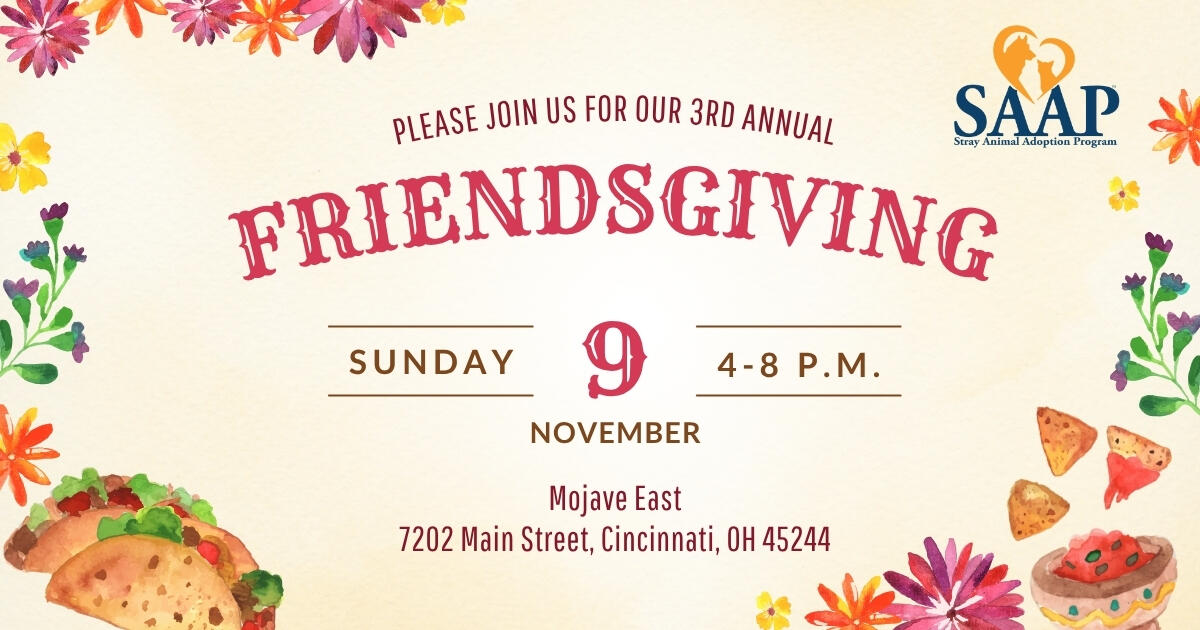 Campaign cover image for SAAP’s 3rd Annual Friendsgiving
