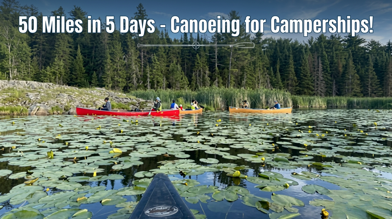 Campaign cover image for 2026 50 miles in 5 days!