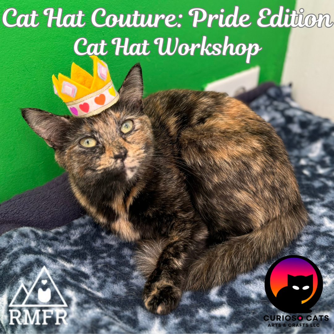 Campaign cover image for Cat Hat Couture: Pride Edition