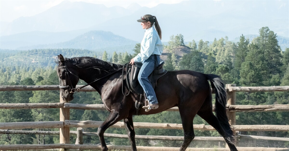 Campaign cover image for Western States Expo