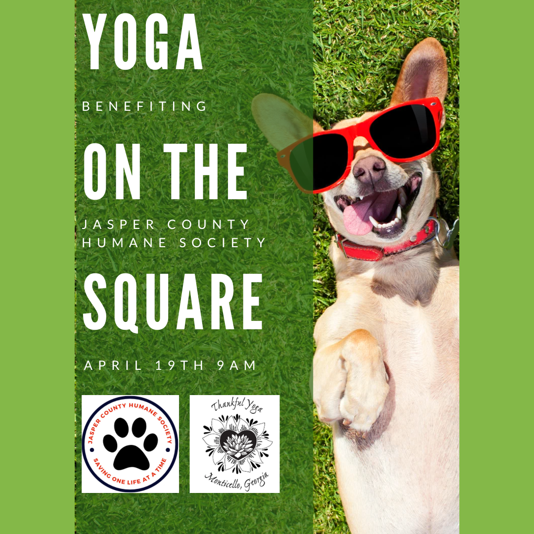 Campaign cover image for Jasper Jubilee - Yoga on the Square