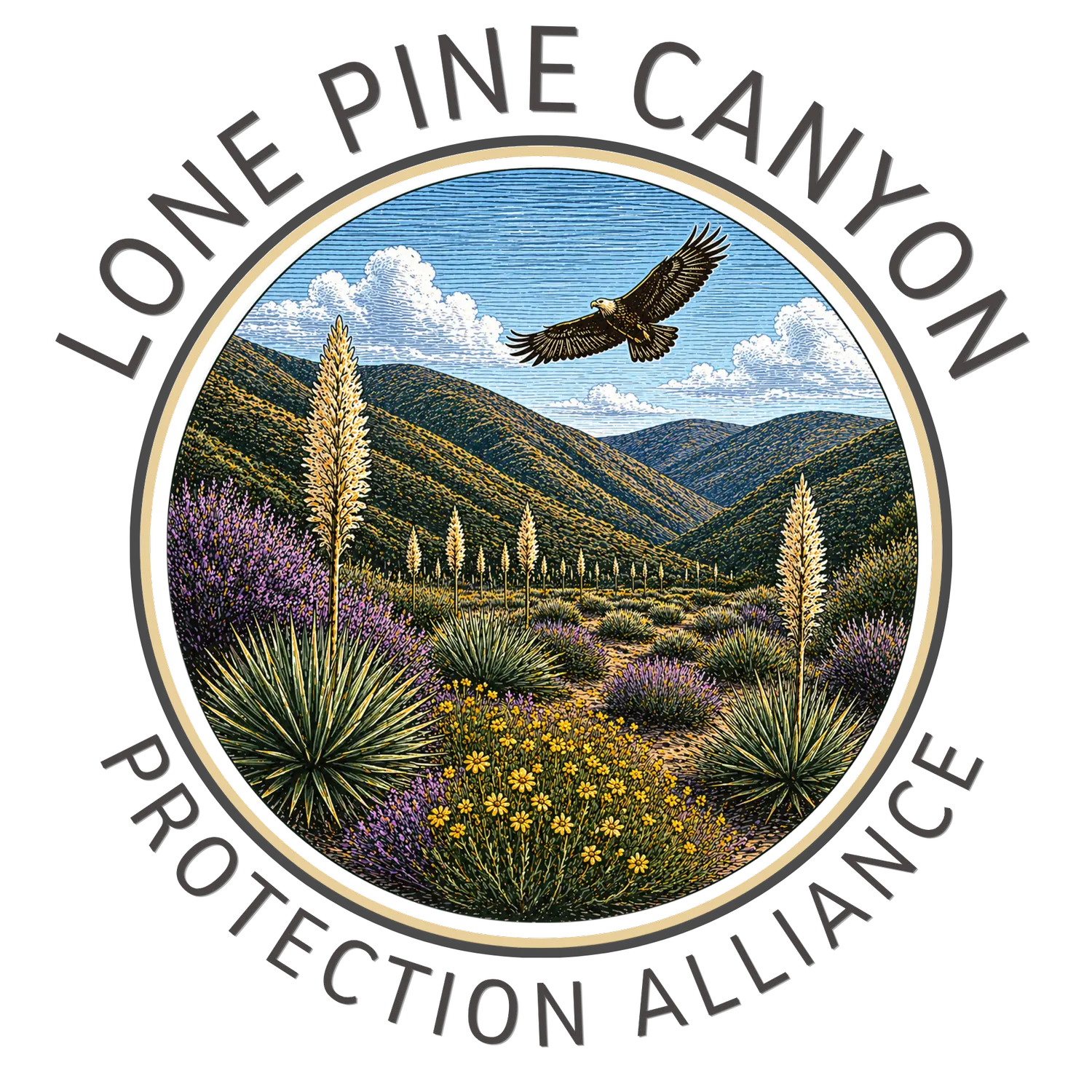Campaign cover for Lone Pine Canyon Protection alliance
