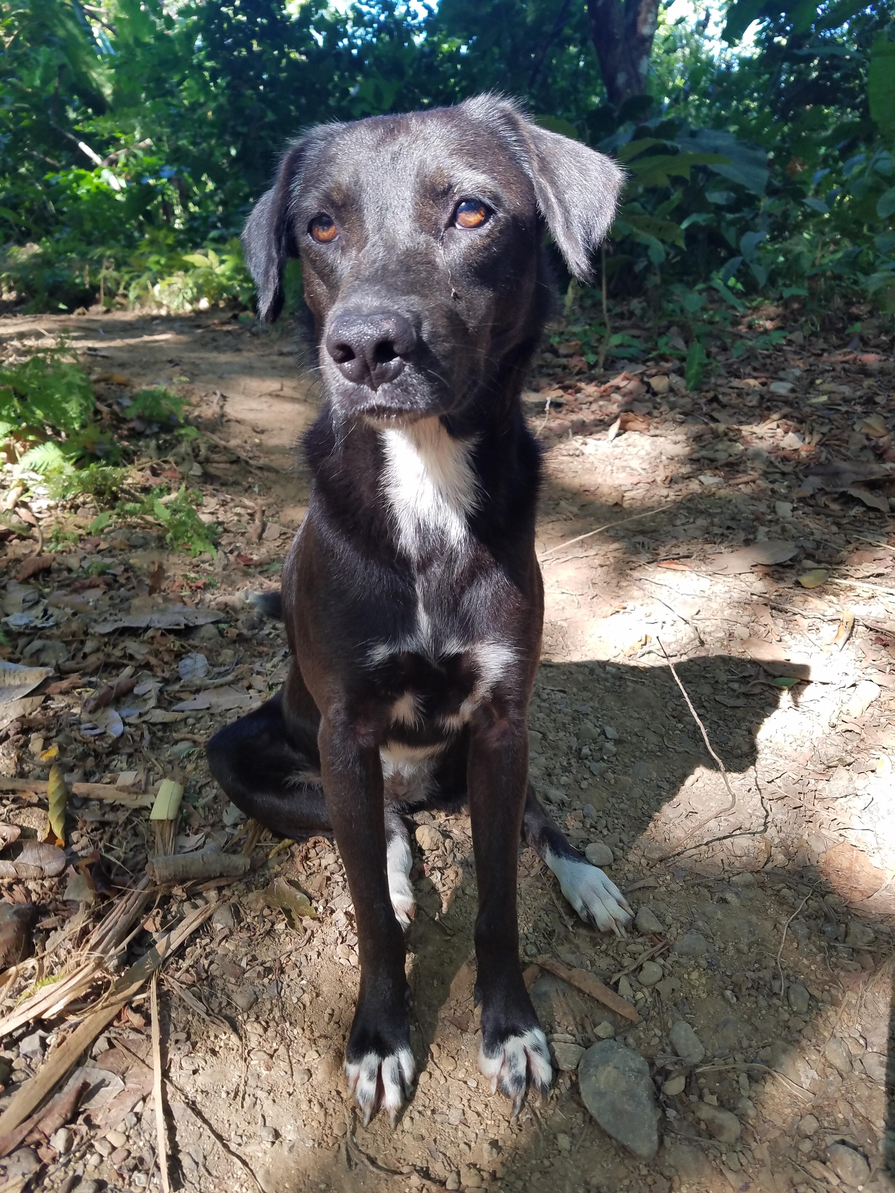 Campaign cover image for Axis Mundi Animal Sanctuary