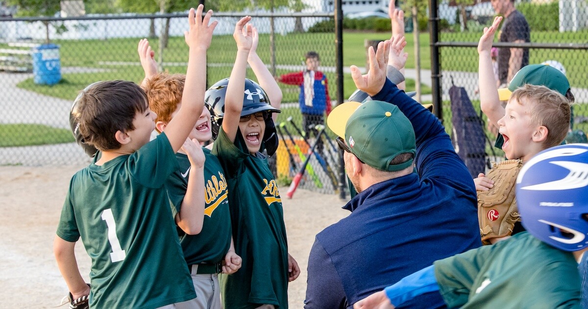 Elmhurst Baseball & Softball League Sponsorship