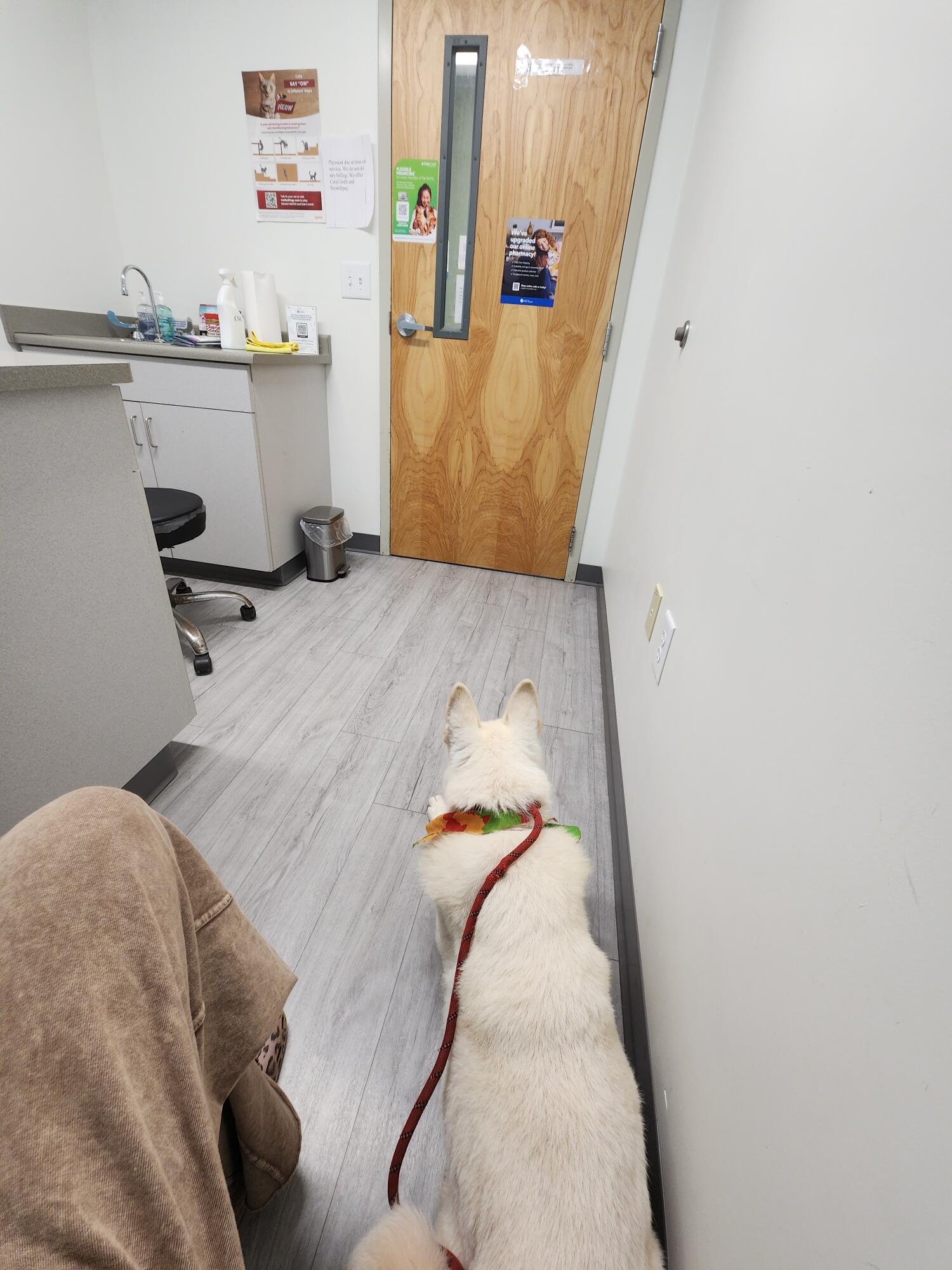 Campaign cover image for LCAR Emergency Medical Fund: Because a Promise is a Promise