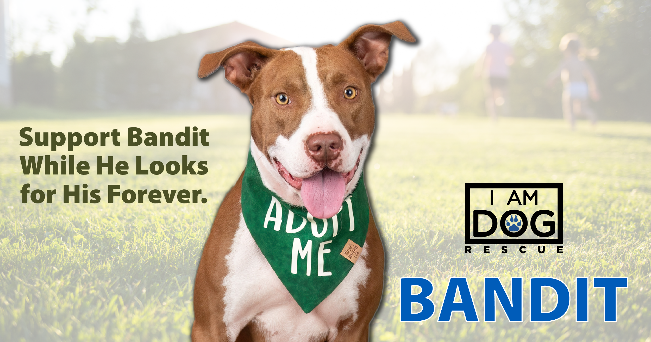 Campaign cover image for Donate for Bandit
