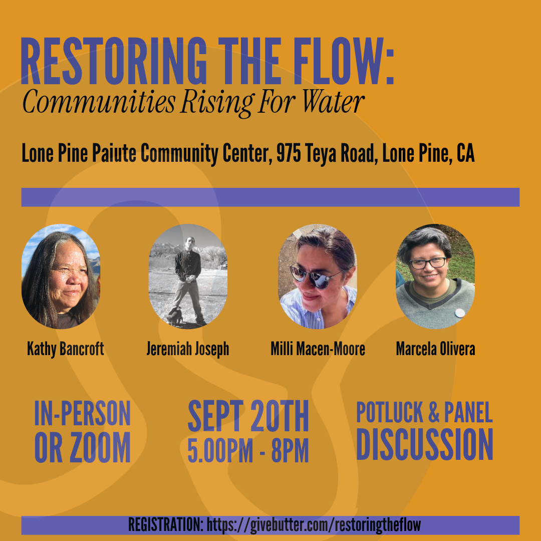 Campaign cover image for Restoring the Flow