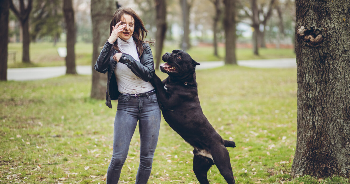 Campaign cover image for Four on the Floor: Practical Solutions for Jumping
