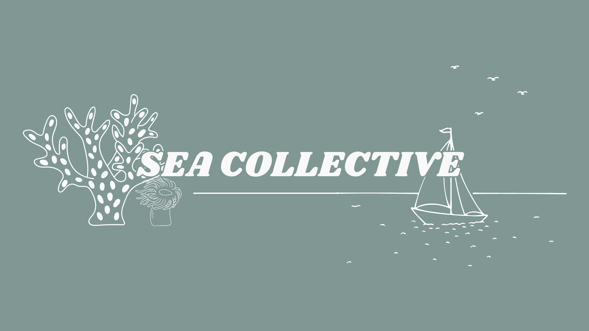 Campaign cover image for Sea Collective Fundraiser