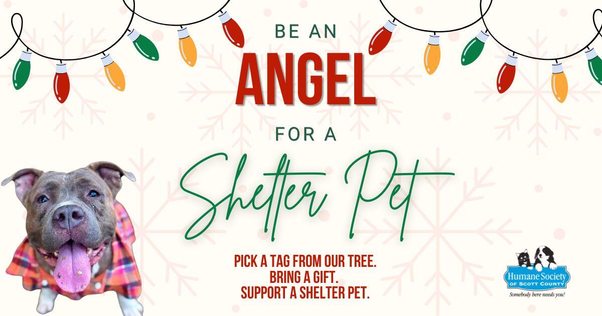 Campaign cover image for Humane Society of Scott County Angel Tree