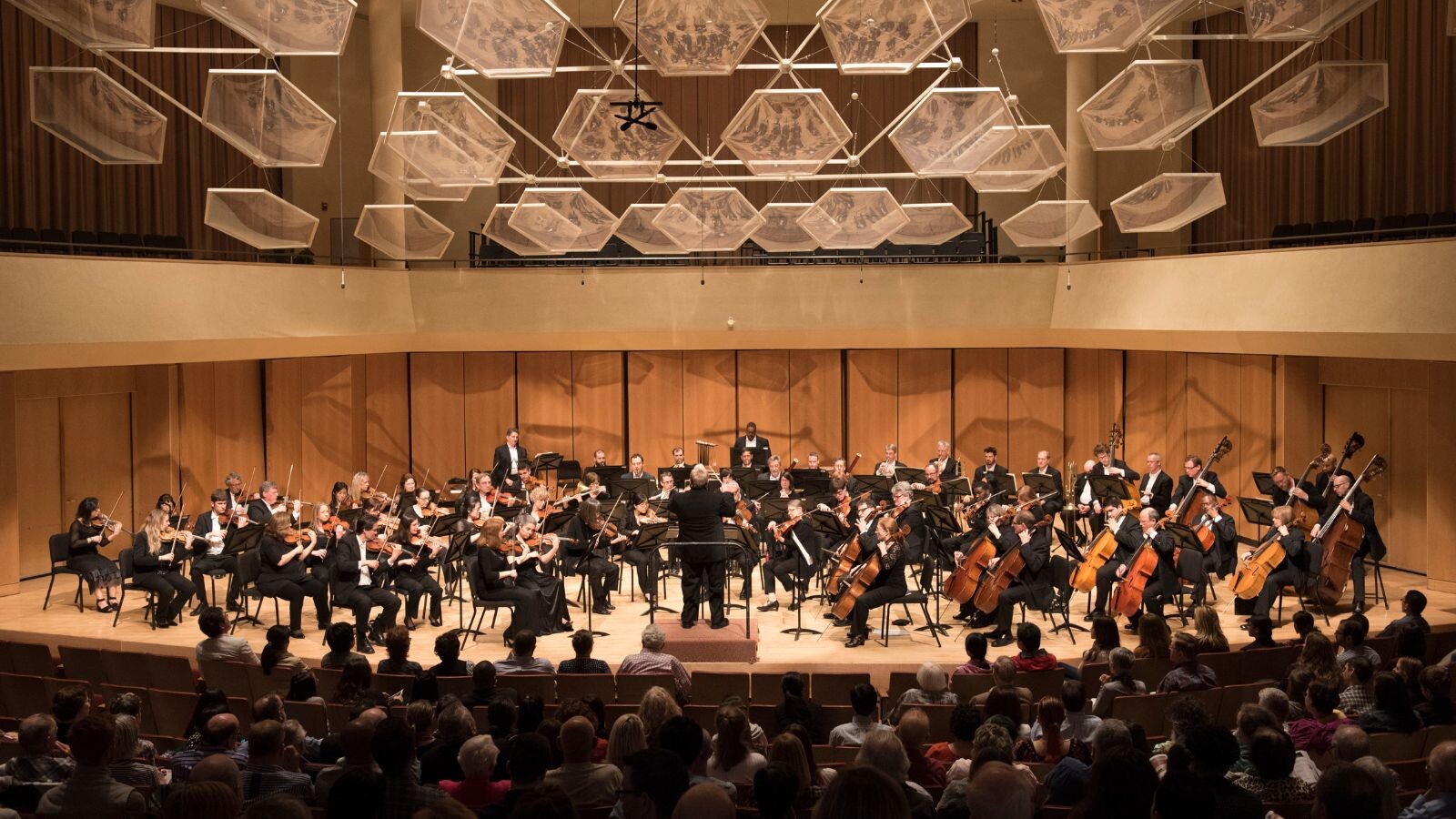 Campaign cover image for The Mary Ann and Paul Judy Organizational Excellence Fund