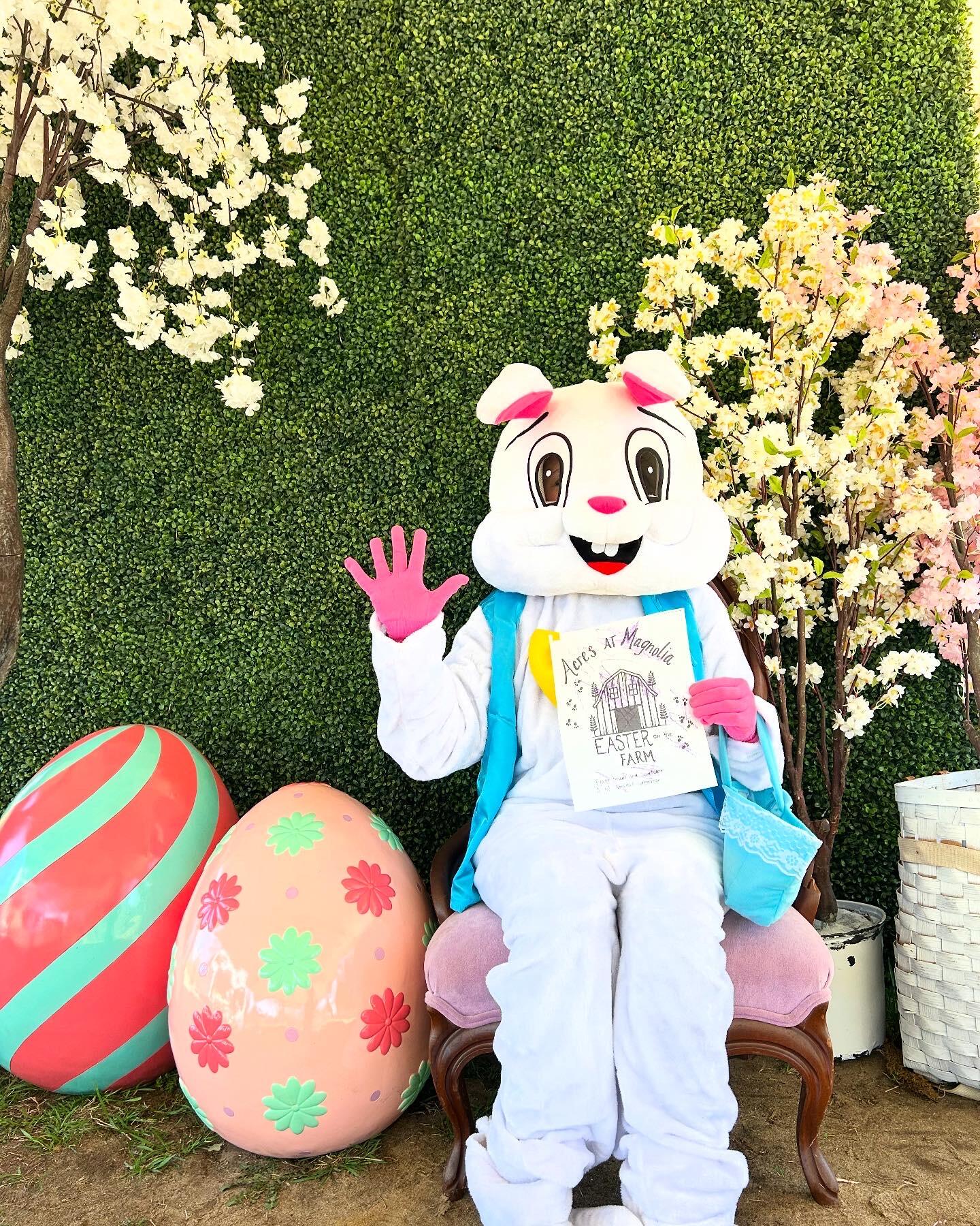 Campaign cover image for April 4 | Easter On The Farm