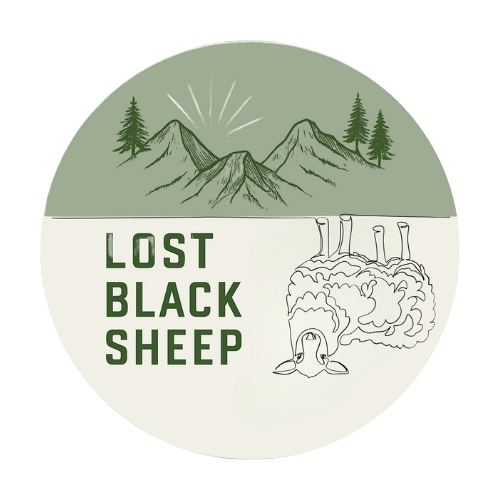 Campaign cover image for Lost Black Sheep-GIVE