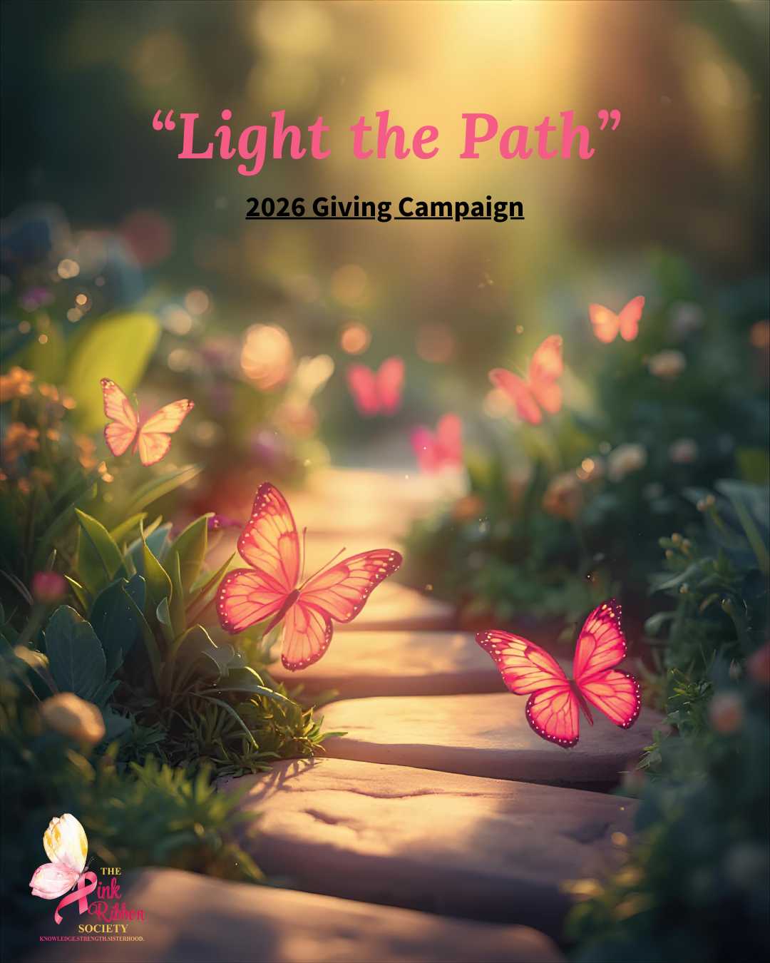 Campaign cover image for Light the Path