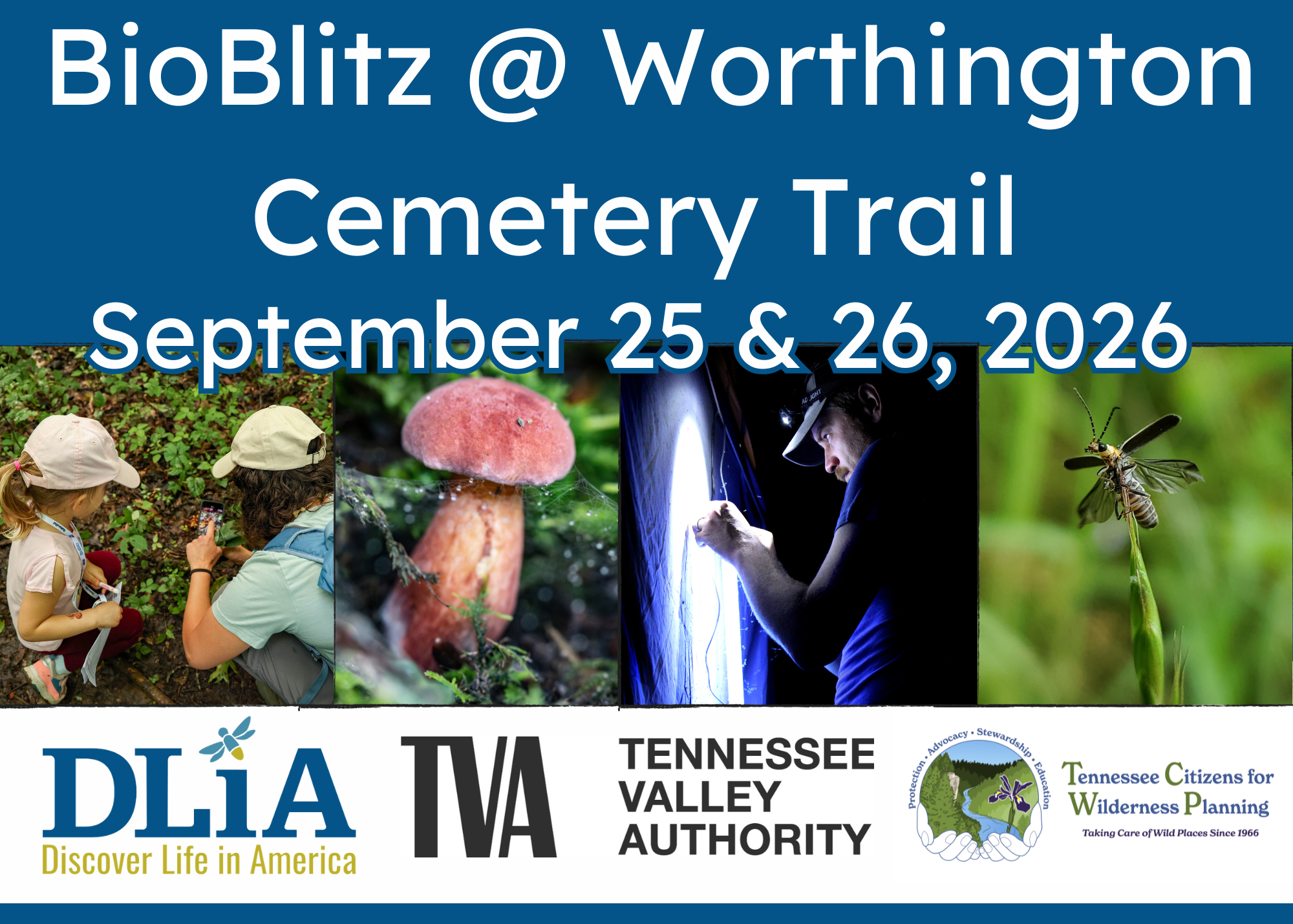 Campaign cover image for Worthington Cemetery Trail BioBlitz