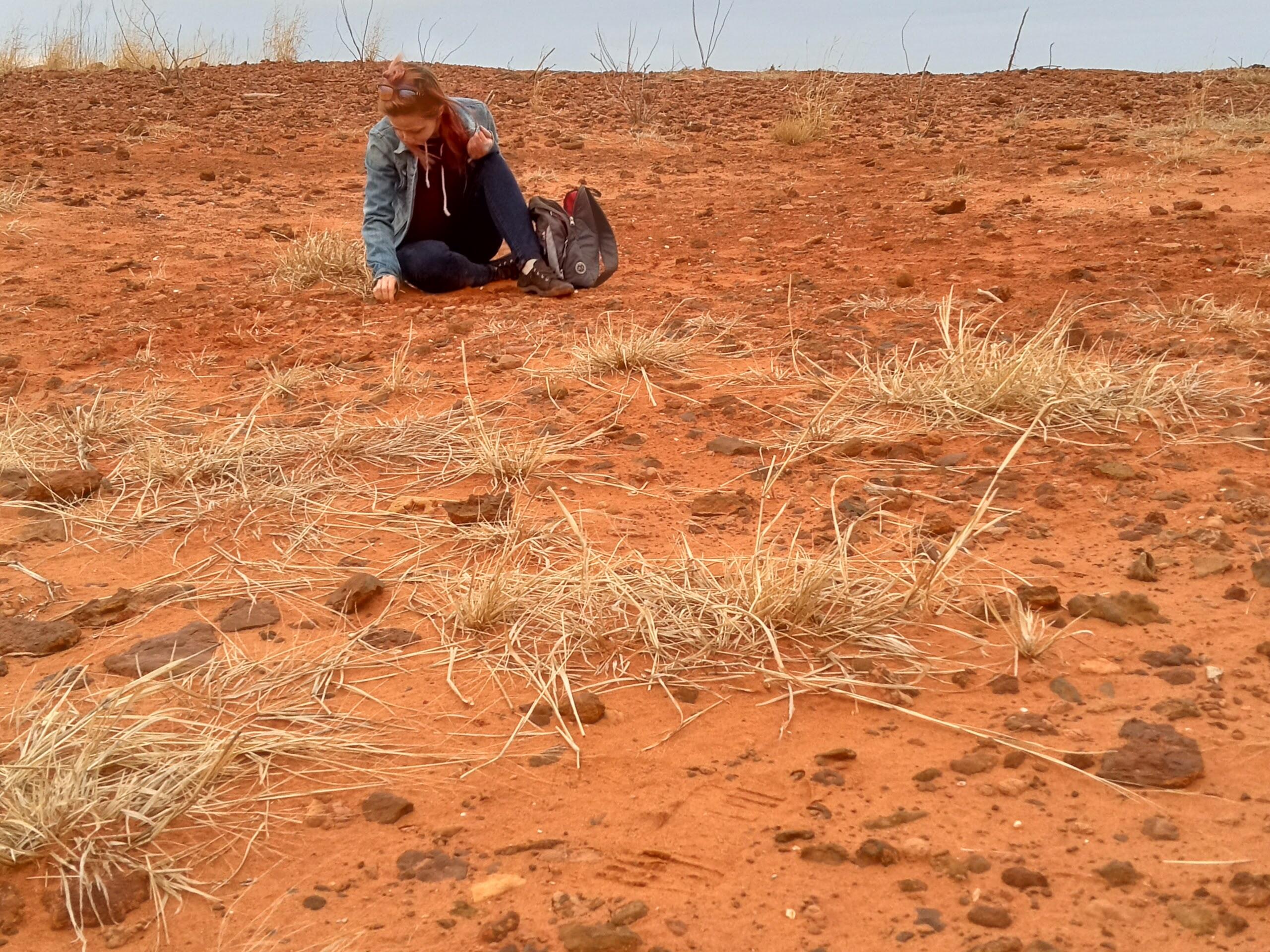 Campaign cover image for Save Oklahoma's Rose Rocks