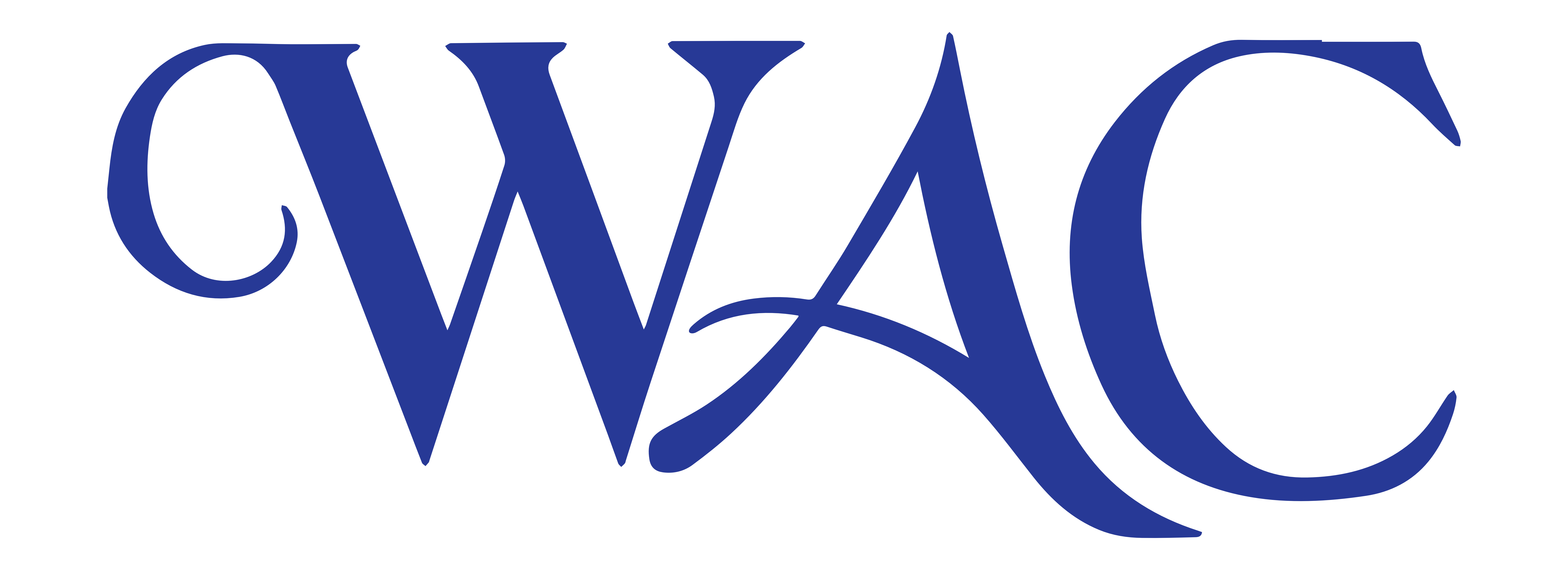 Campaign cover for WAC Family Fund — Williamsburg Aquatic Club