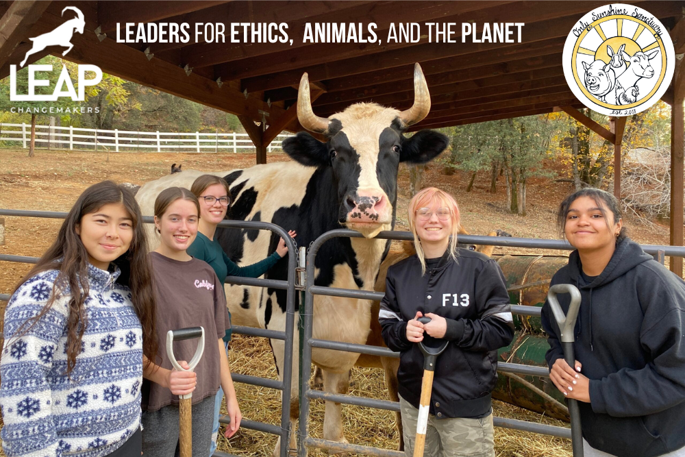 Campaign cover image for ❌ CANCELLED — LEAP Open House - 8/19 (In-Person)