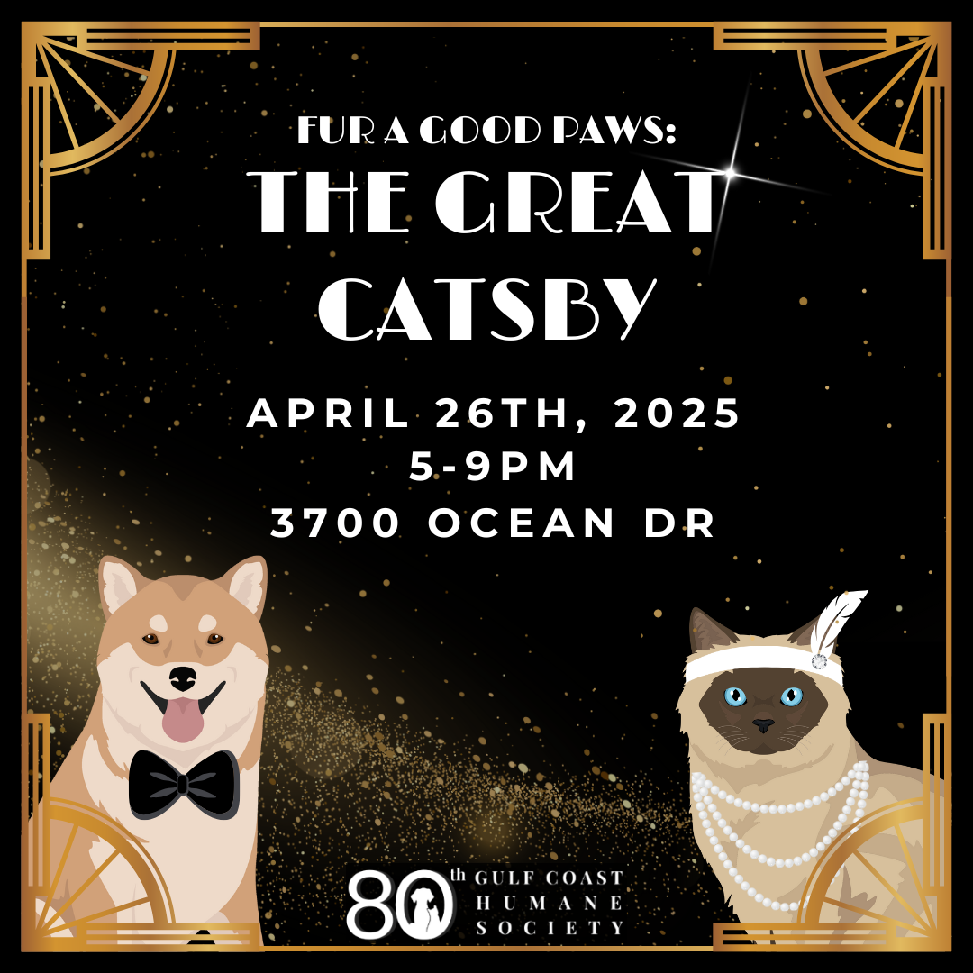 Campaign cover image for Fur a Good Paws: The Great Catsby