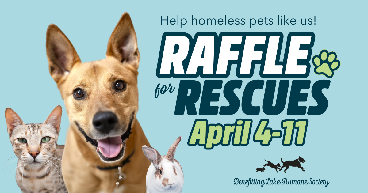 Campaign cover image for Raffle for Rescues 2026