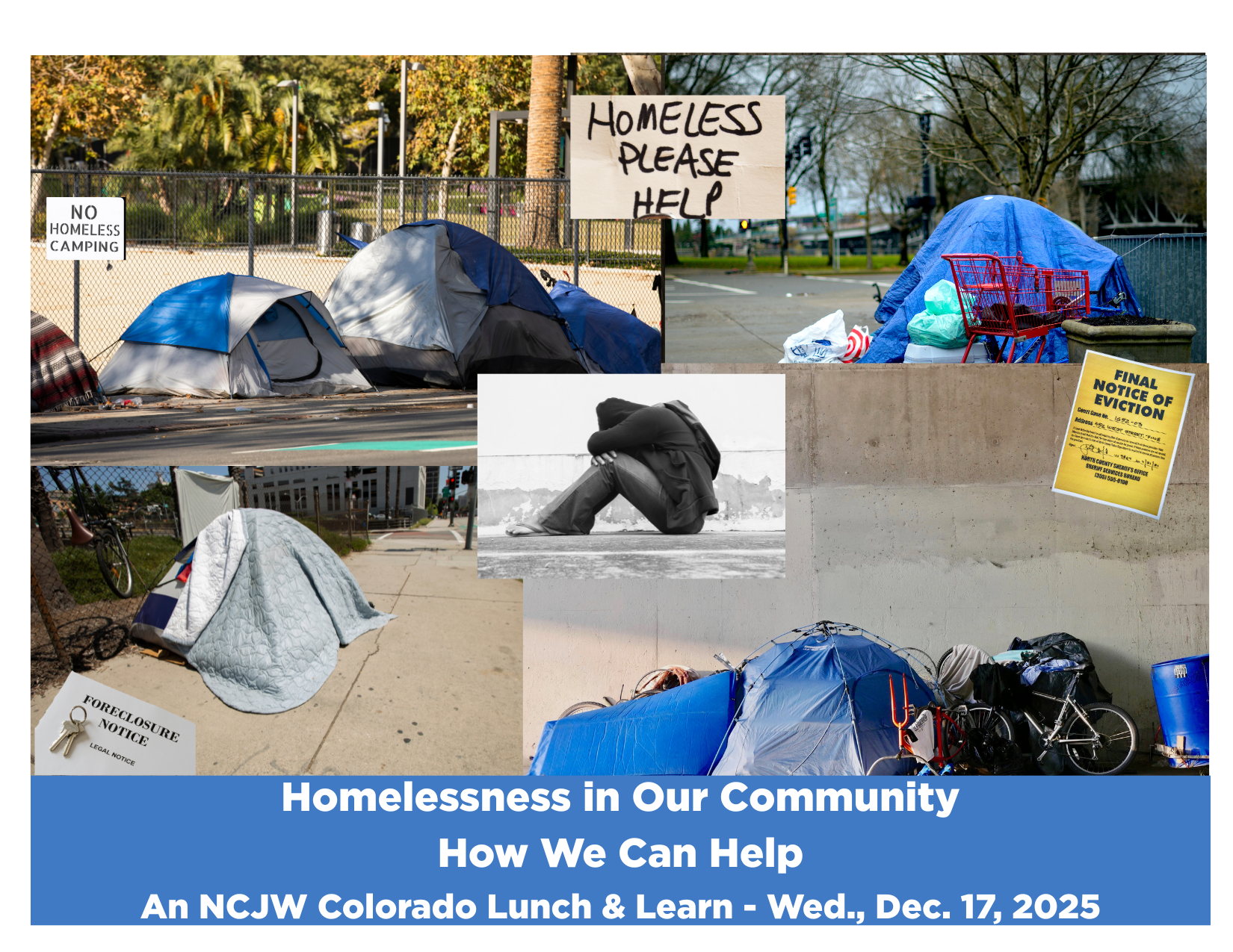 Campaign cover image for Lunch & Learn: THE CHALLENGE OF HOMELESSNESS: WHAT THE CITY OF DENVER IS DOING AND HOW WE CAN HELP  5