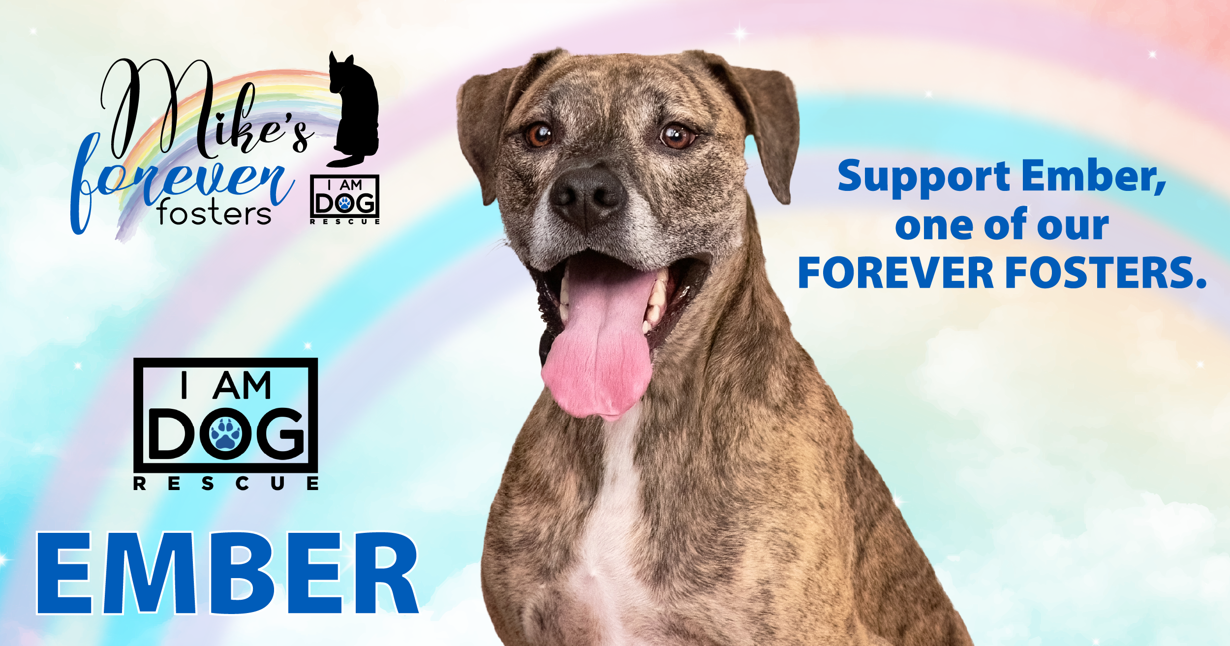 Campaign cover image for Donate for Forever Foster Ember