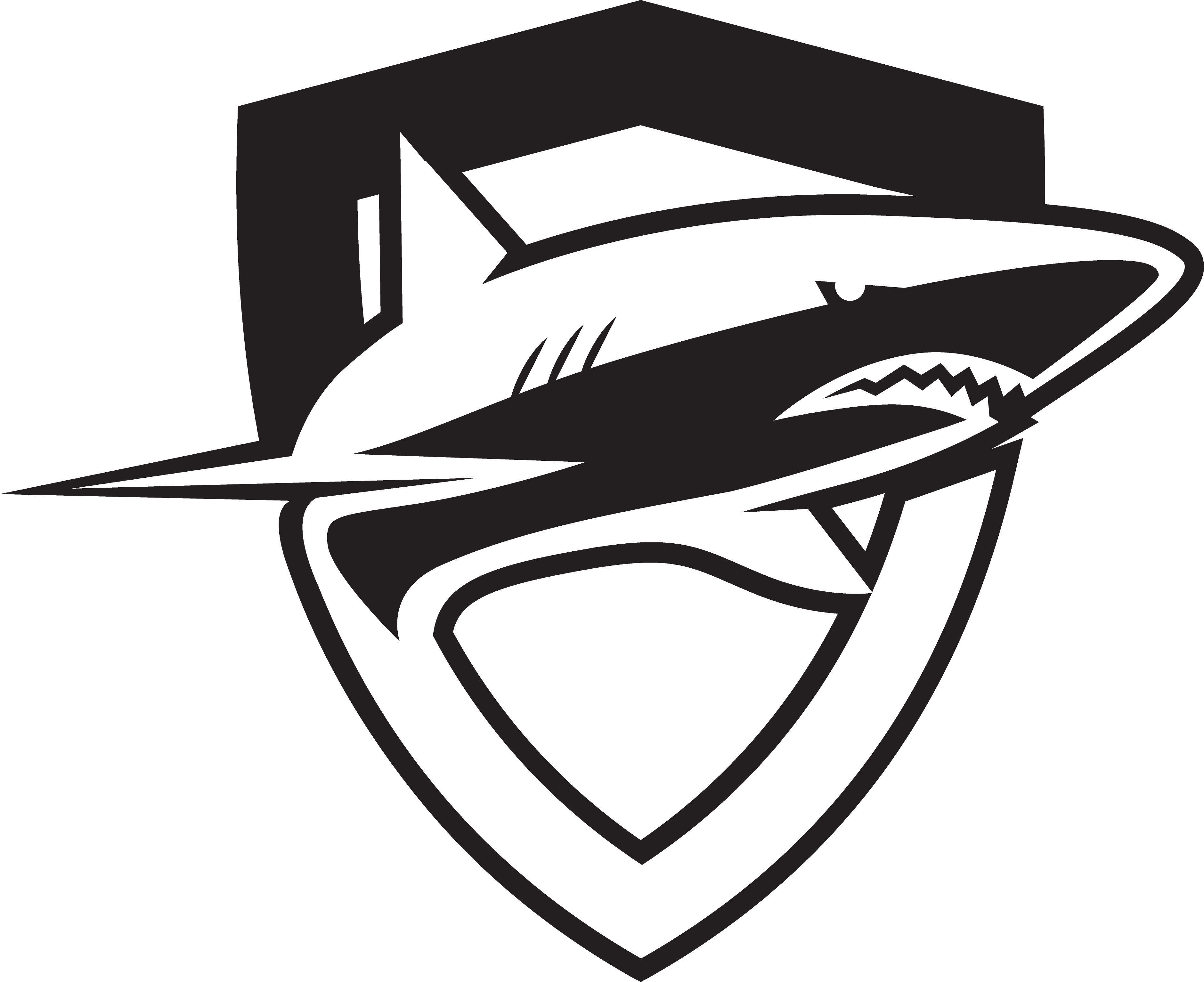 Campaign cover image for Swim-A-Thon 2025