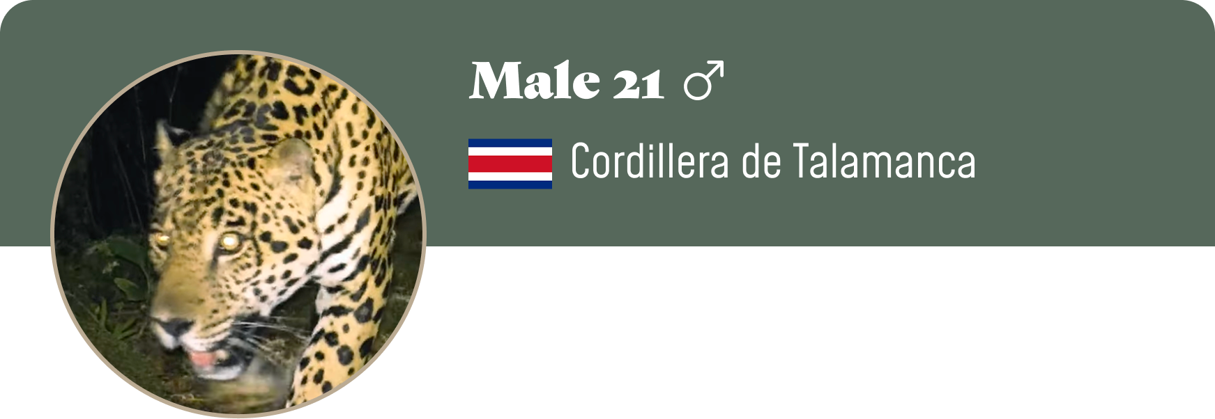 Campaign cover image for Adopt Male 21