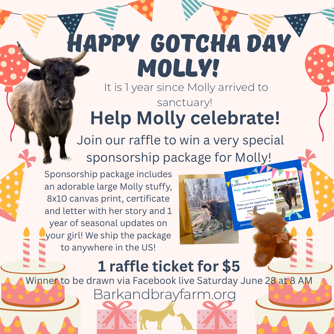 Campaign cover image for Celebrating Molly’s 1 year Gotcha Day!