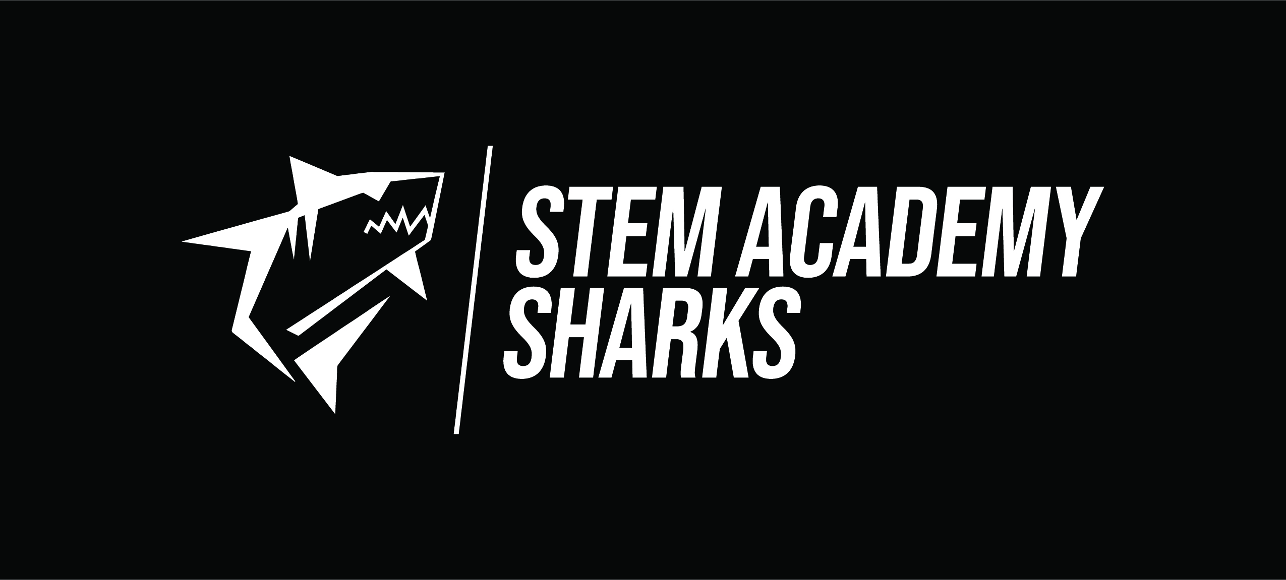 Stem Showcase 2025 Basket Raffle Checkout Fond Du Lac Stem