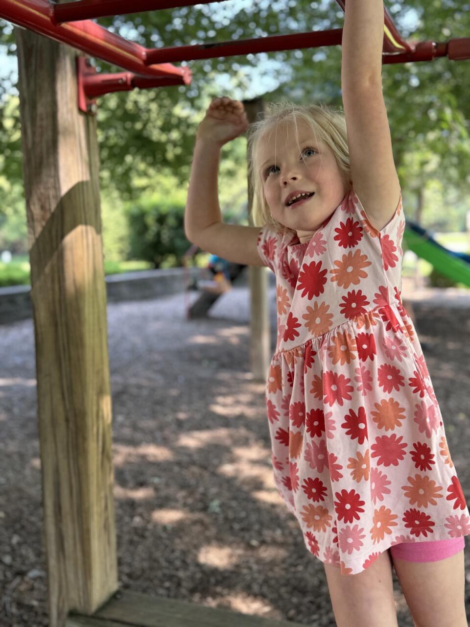 Campaign cover image for 2025 Welsh Hill School Fund