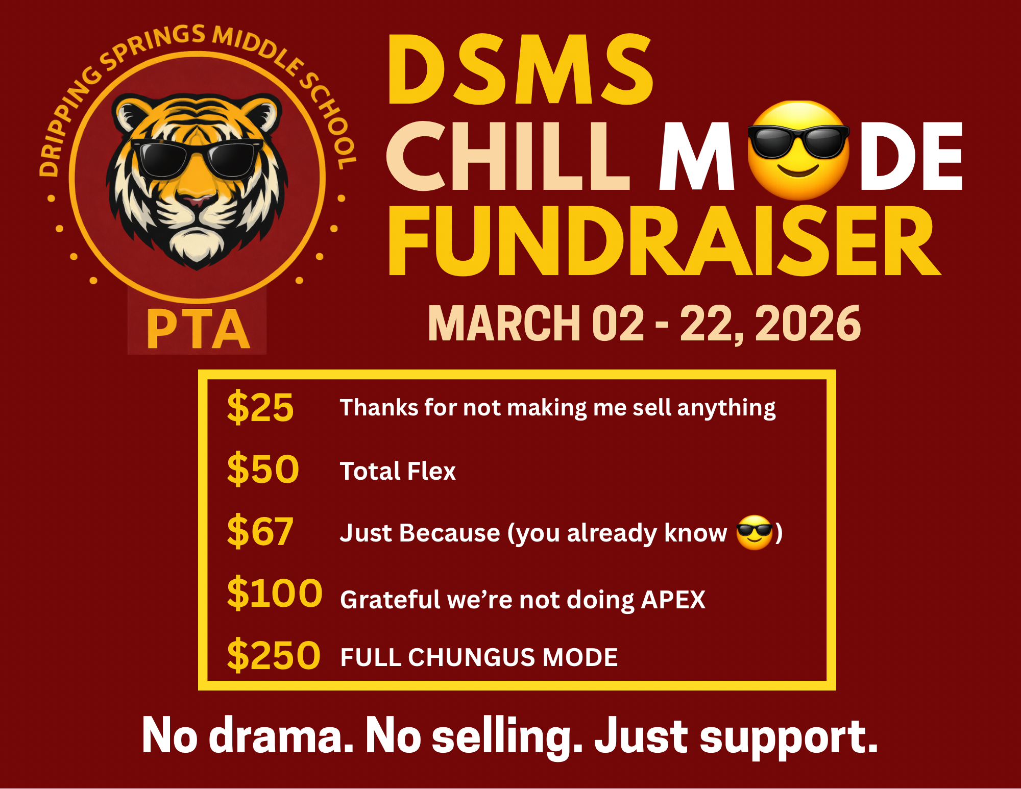 Campaign cover image for DSMS Chill Mode Fundraiser - No drama.  No selling.  Just support.