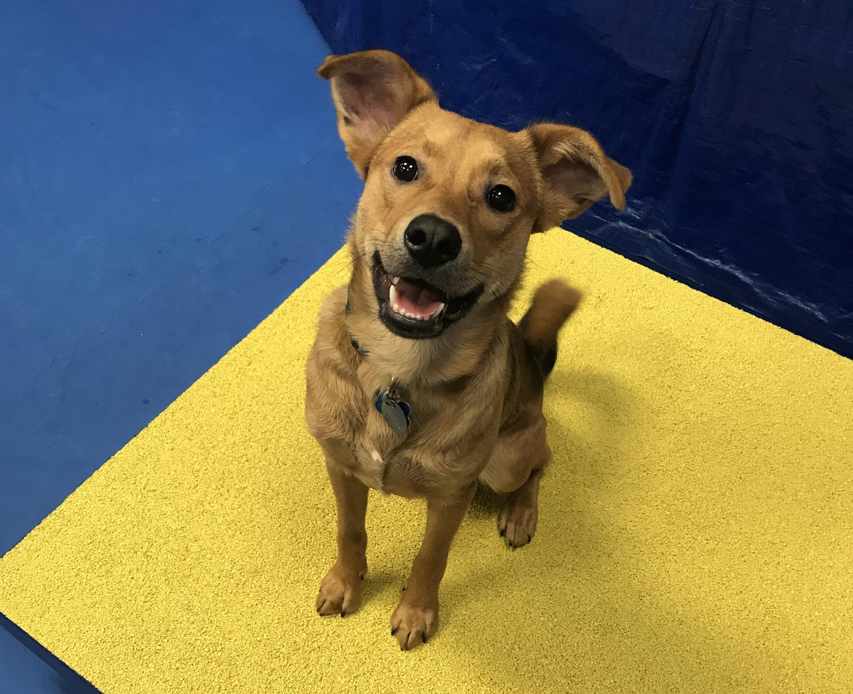 Campaign cover image for Make the Most of Giving Tuesday!