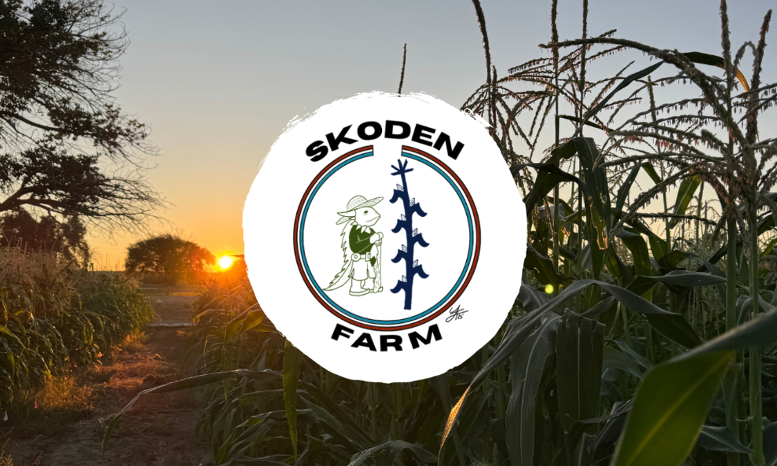 Campaign cover for Support Sustainable Farming at Skoden Farm