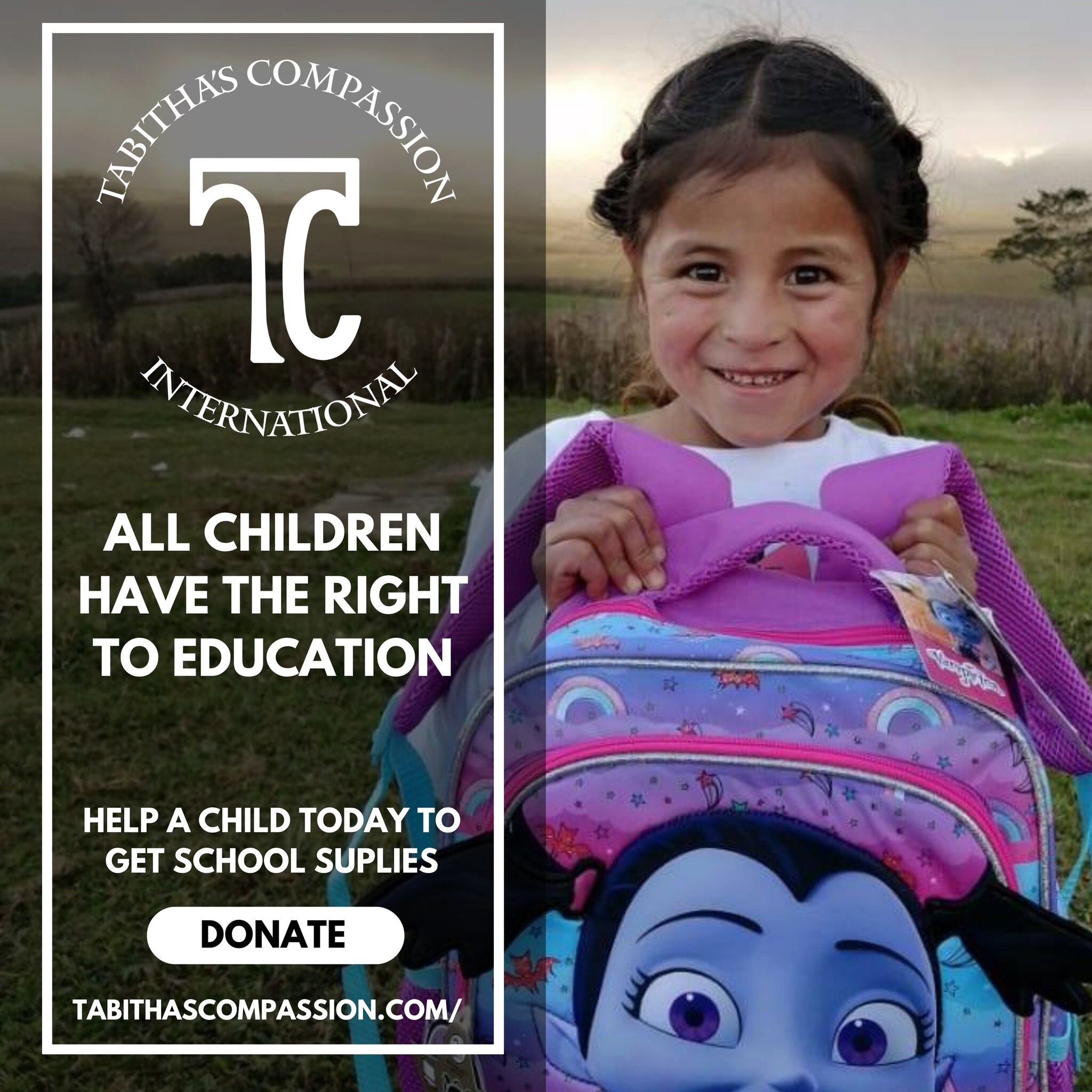 Campaign cover image for School Supplies for the Lenca Children