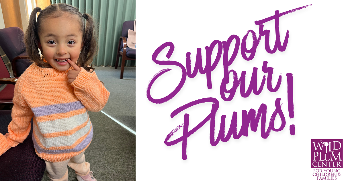 Campaign cover image for Support Wild Plum