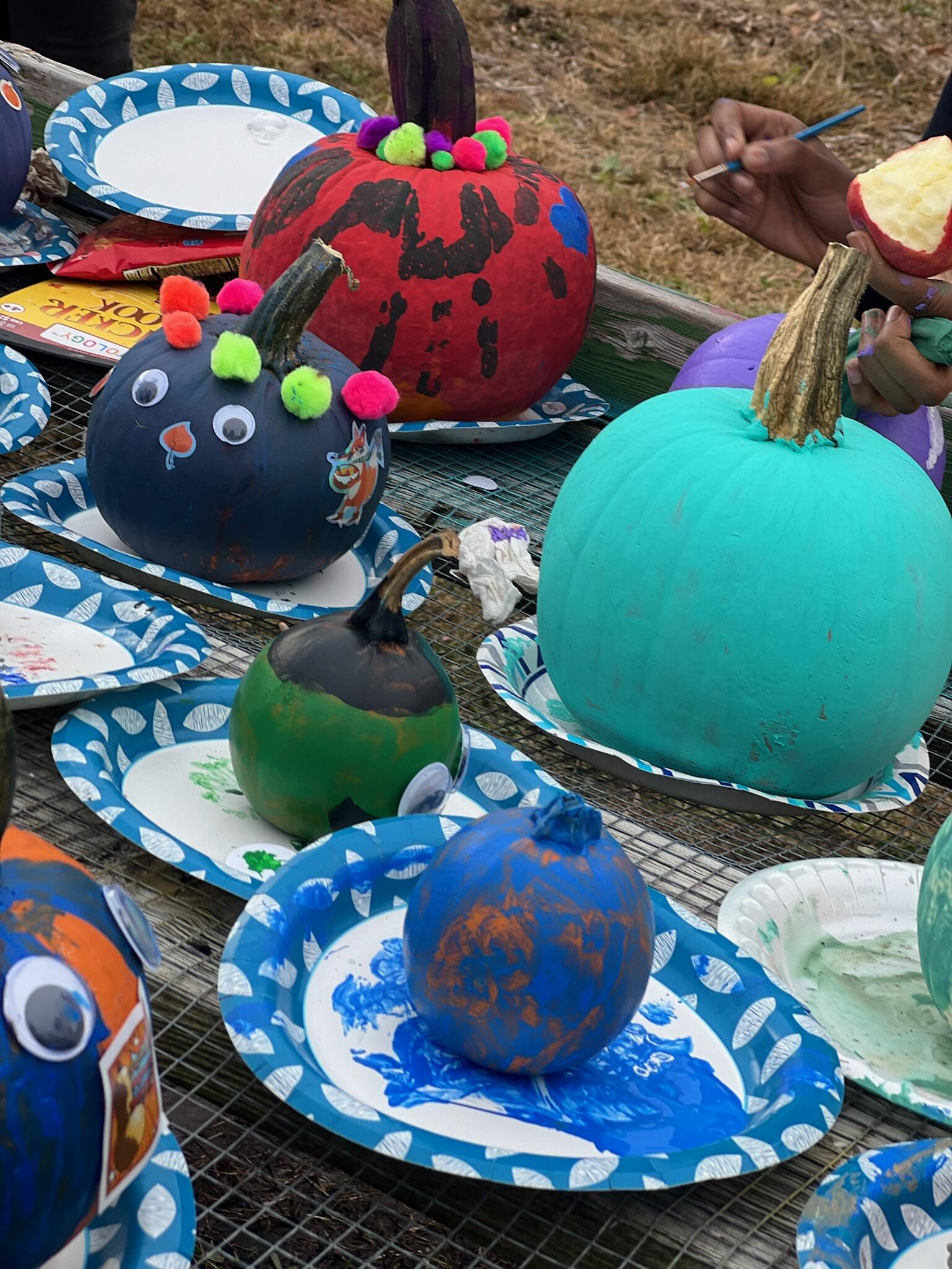 Campaign cover image for GVI End of Growing Season 2025