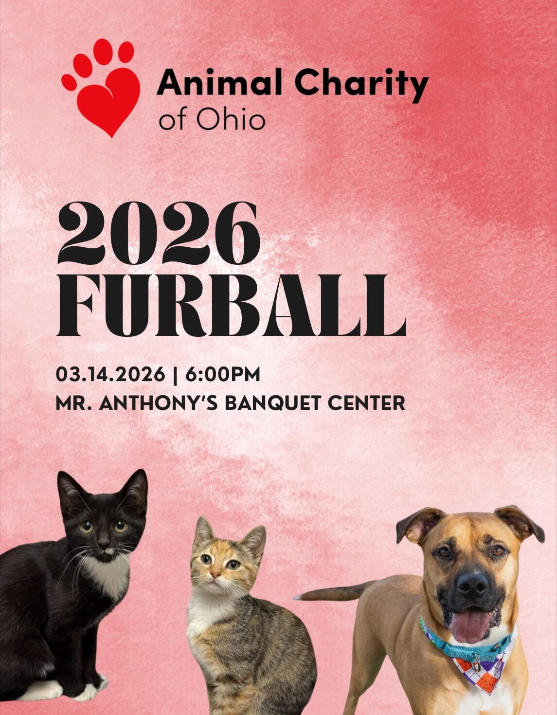 Campaign cover image for 12th Annual Fur Ball
