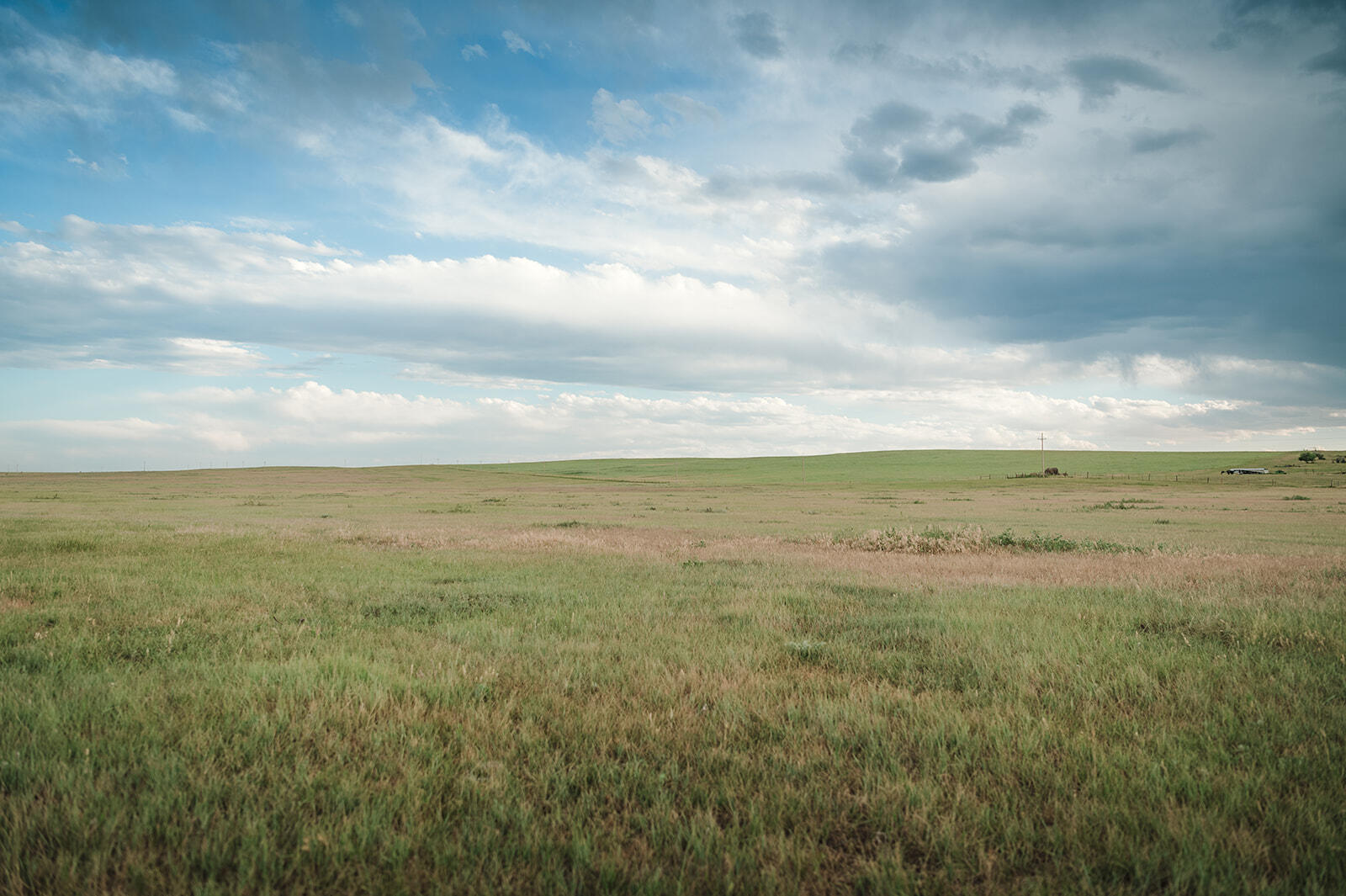 Campaign cover image for 5th Annual Grown on the Prairie Gourmet