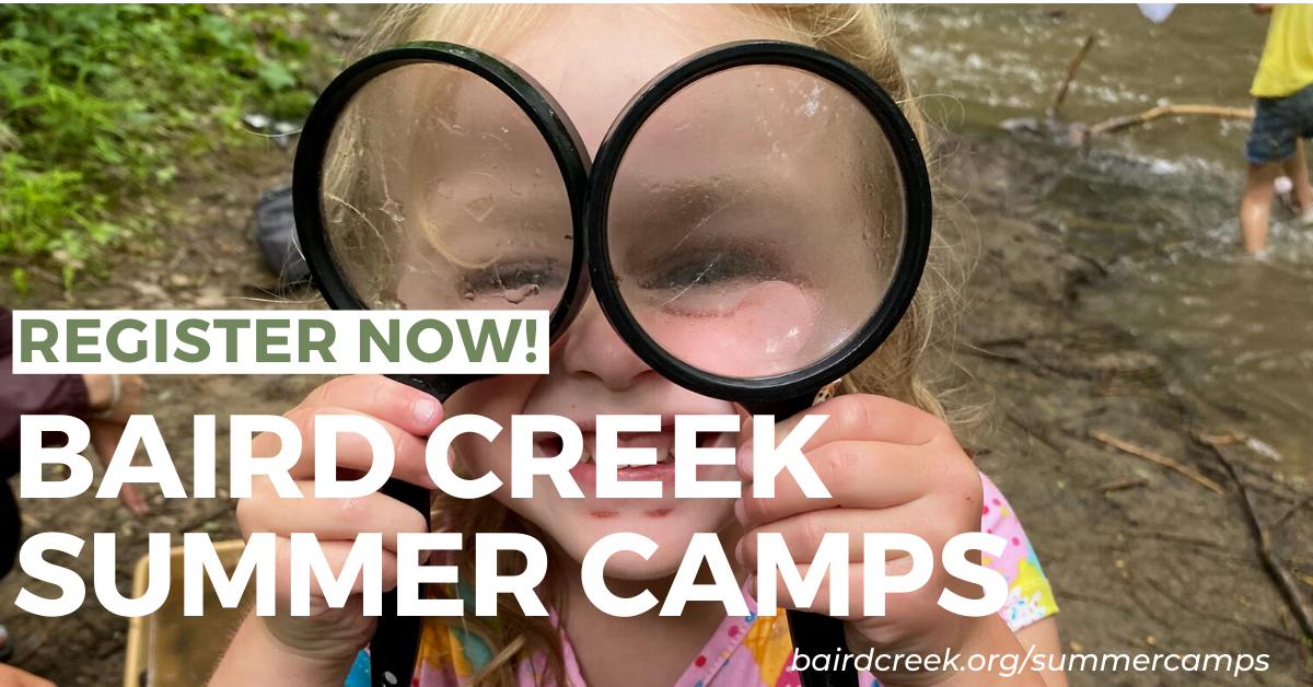 Campaign cover image for 4-6 Year Old Summer Camps