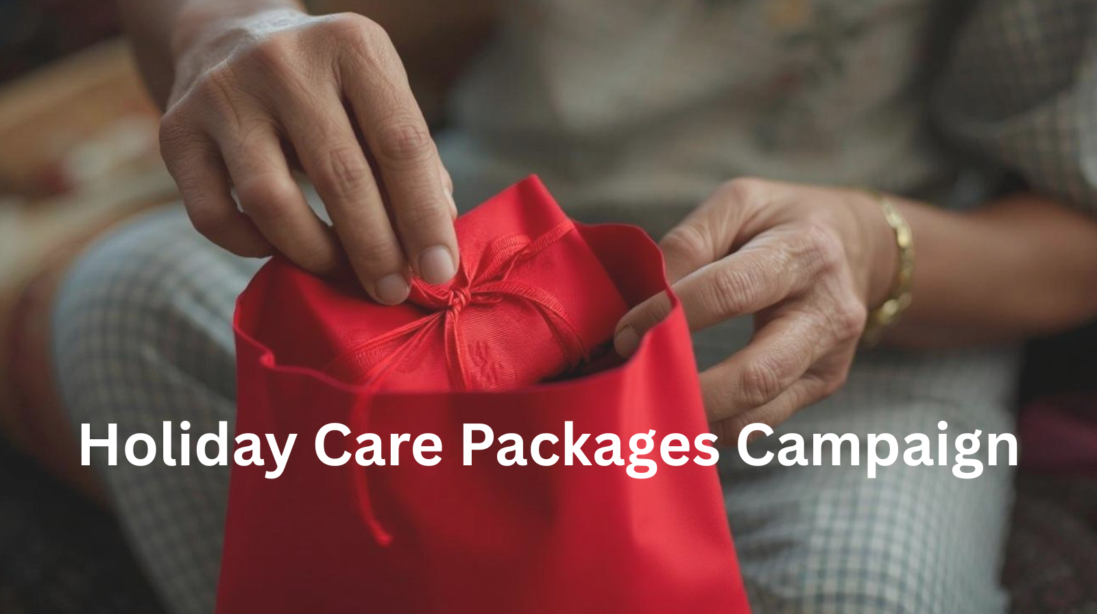 Campaign cover image for Giving Tuesday: Holiday Care Packages 2024