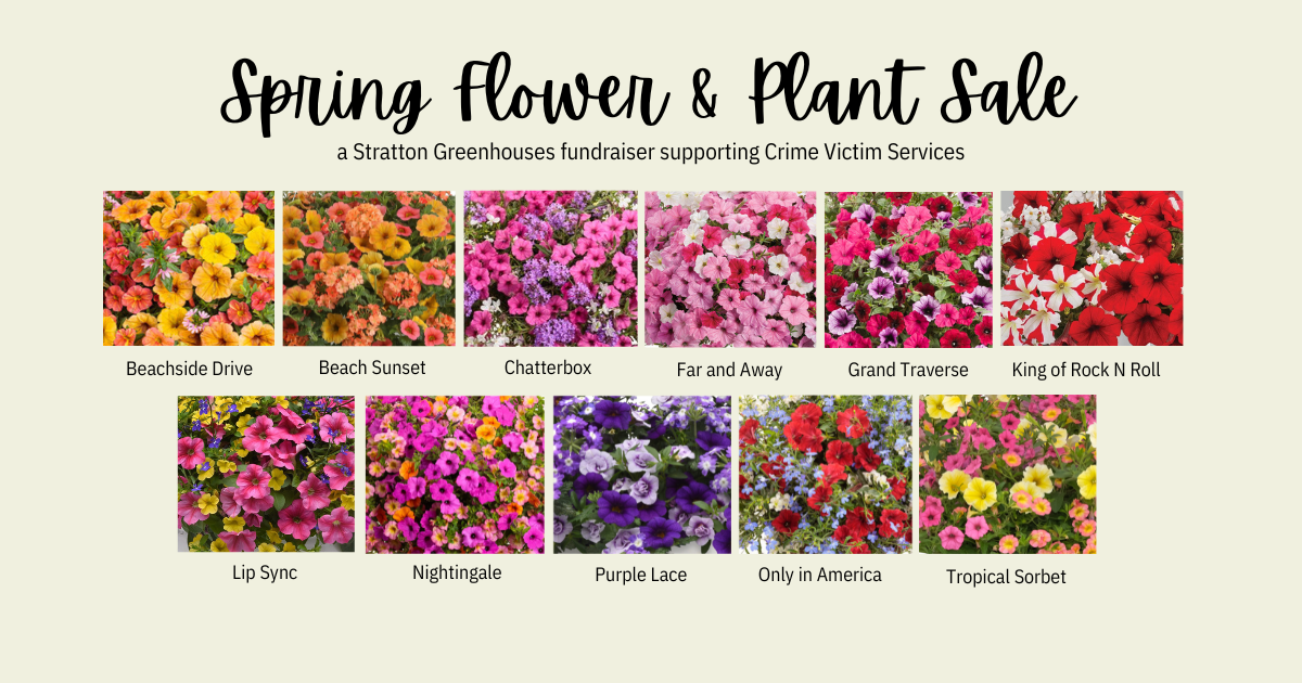 Campaign cover image for CVS Spring Plant Sale