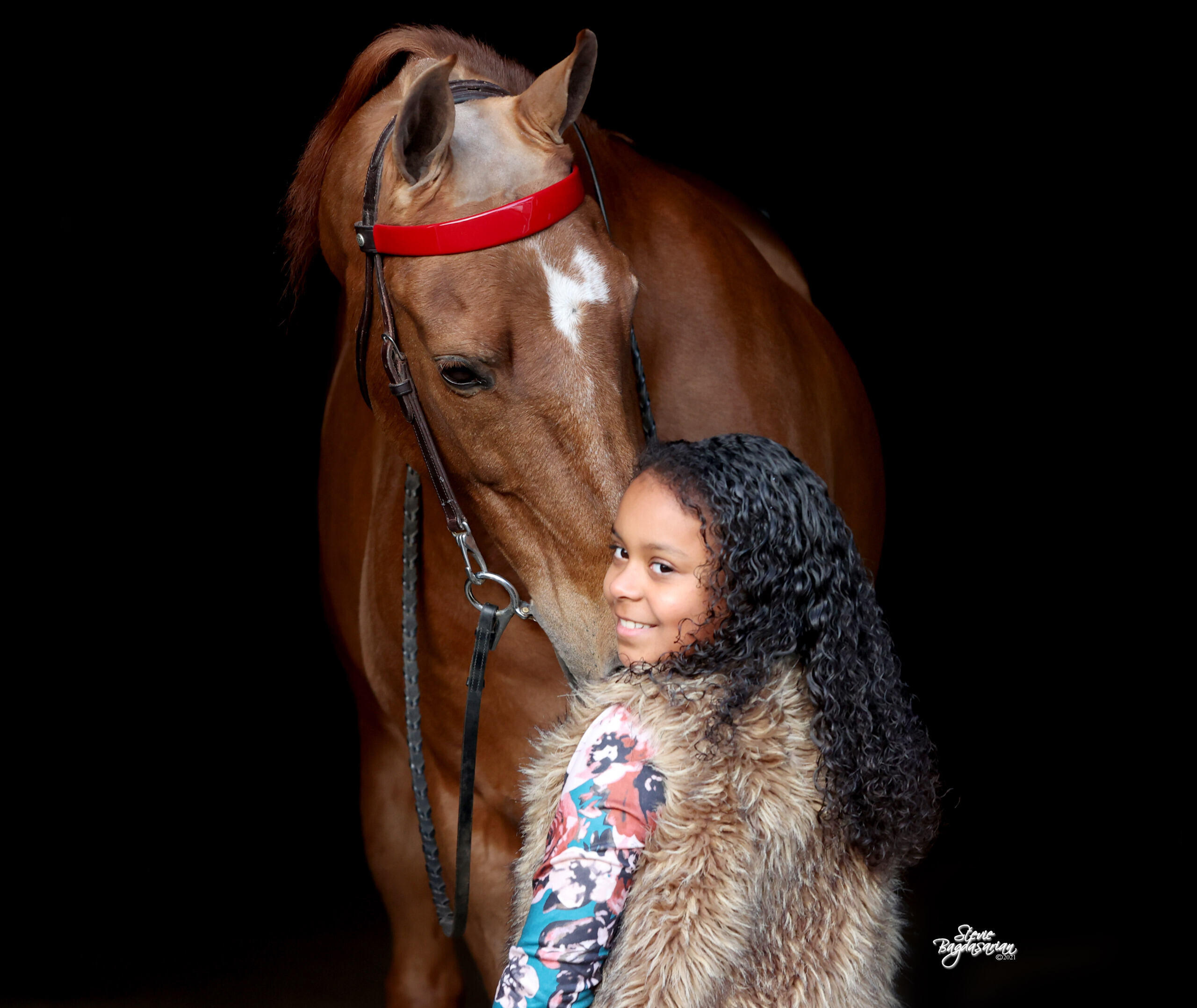 Campaign cover image for Equine Welfare Fund